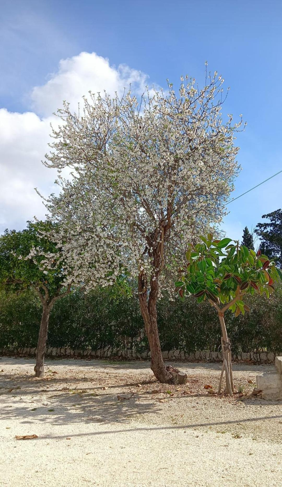 Gelsomino Siracusa Syracuse Exterior foto